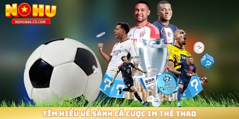 Tìm hiểu về sảnh cá cược IM thể thao