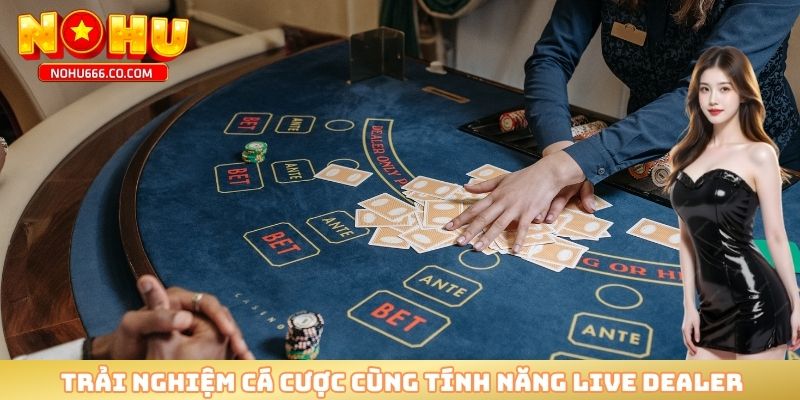 Trải nghiệm cá cược cùng tính năng Live Dealer